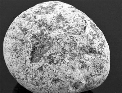 1519395084876772.png 龙 涎 香.png