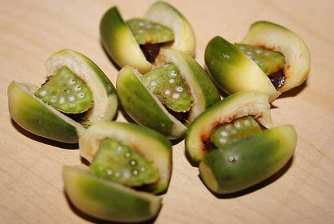 1519395634172808.png 槟 榔.png