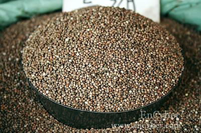 1519395610245948.png 紫苏子.png