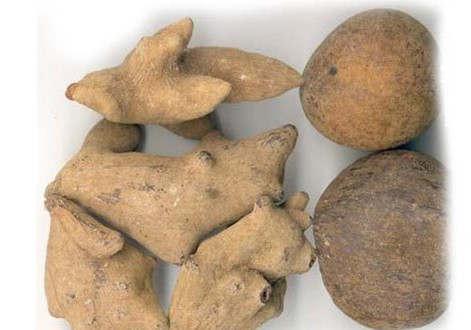 1519396388465989.png 五 倍 子.png