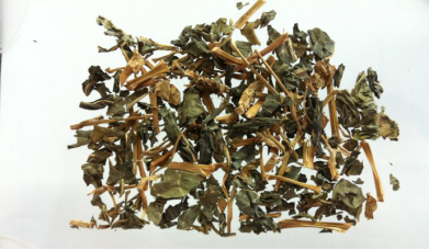 1520258216540912.png 蓼大青叶.png