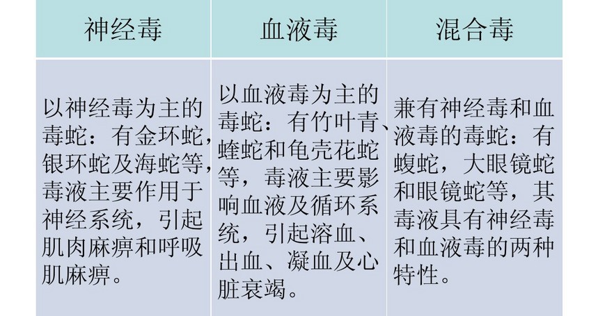 1521032659141322.jpg 毒蛇的分类图.jpg