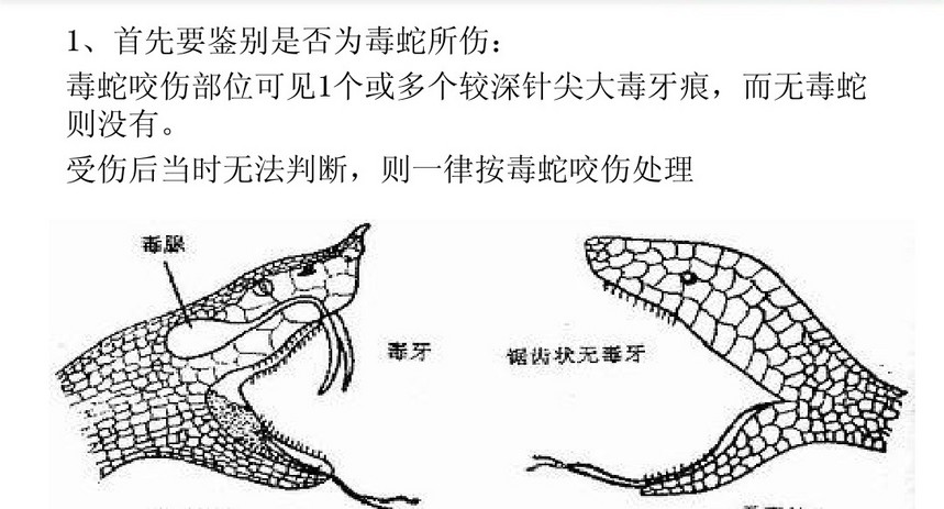 1521032858427963.jpg 住院处理_.jpg