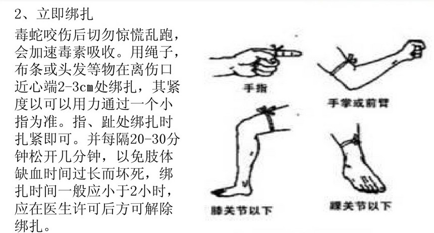 1521032946934266.jpg 住院处理 2.jpg