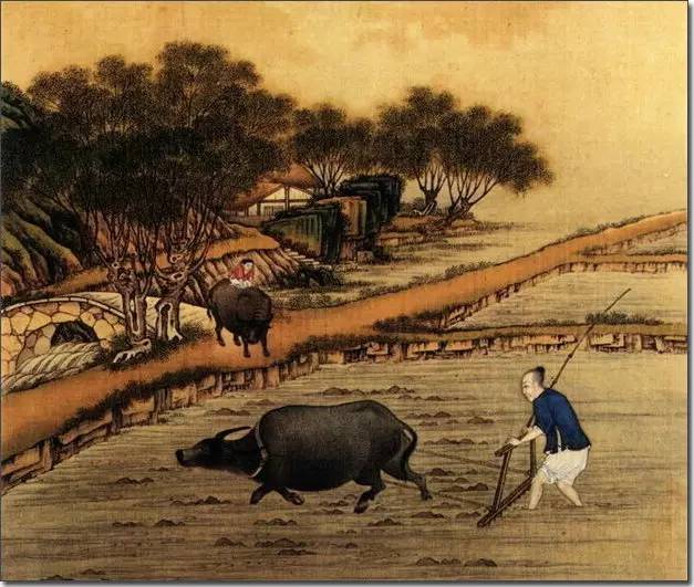 1518188654492875.jpg 白露.jpg