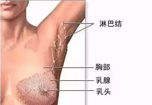 1538913117373837.png 微信图片_20181007195011.png