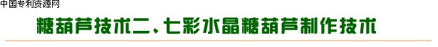 冰糖葫芦制作技术,糖葫芦配方,特色和不化冰糖葫芦,怪难吃QQ水果派糖葫芦,七彩水晶糖葫芦,老北京冰糖葫芦,|冰糖葫芦技术光盘
