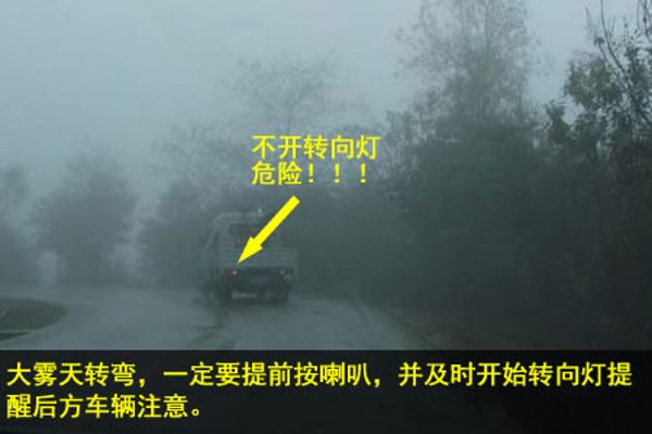 20180831011.jpg