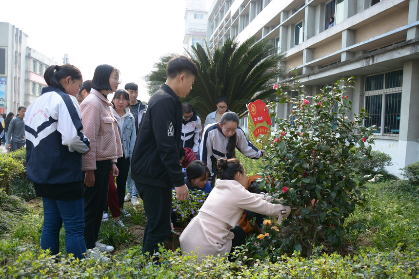 种植绿色梦想 共建美丽金中_四川省射洪县金华中学