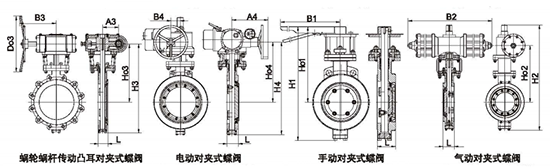 ˫ƫ�ĶԼе����ṹʾ��ͼ