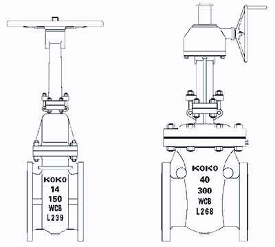 ����բ���ṹͼ