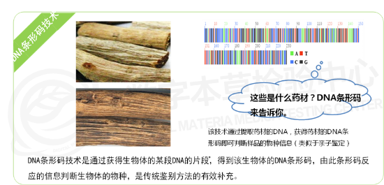 DNA뼼.png