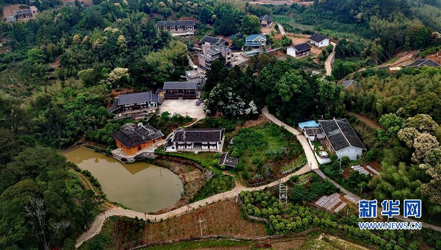 (社会)(3)发展生态产业 助推乡村振兴