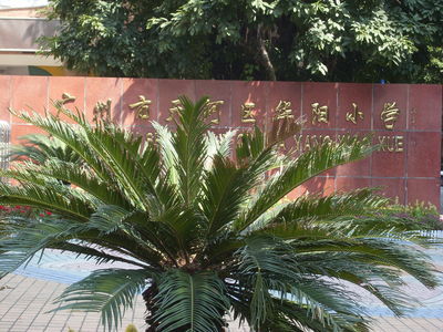 t01918f5d0ece089cd4.jpg