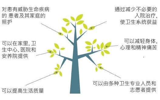 shenmeshiguxizhiliao.jpg