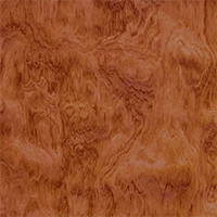 ԭľ߹ϵ Wood Grain Gloss.jpg