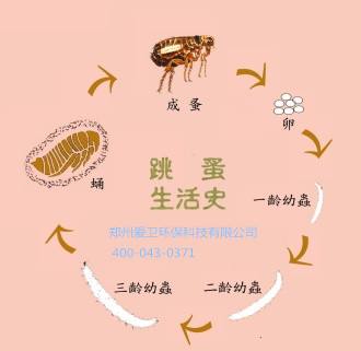 üɽ湫˾ 