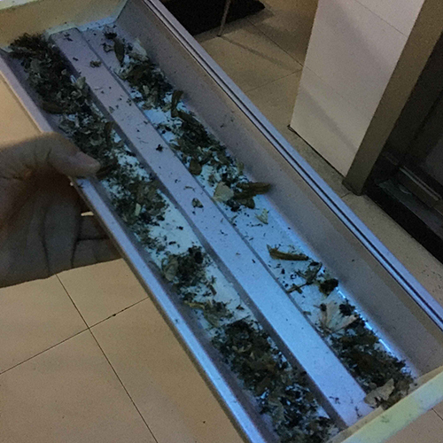 眉山除虫公司