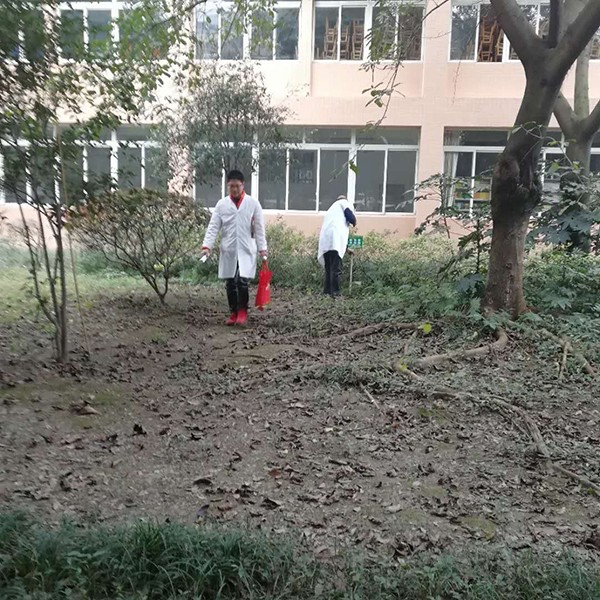 üɽ