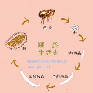 üɽ湫˾