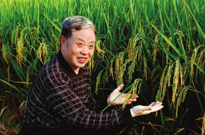【种业十大杰出人物】朱英国"与苍生同梦"