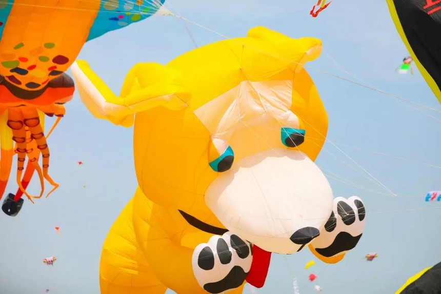 1524468792341596.jpg 6.jpg