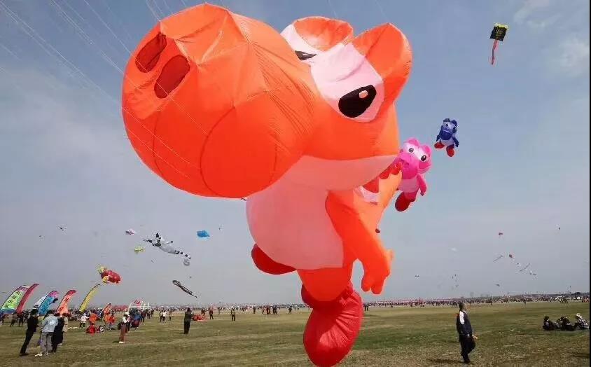 1524468812313213.jpg 8.jpg