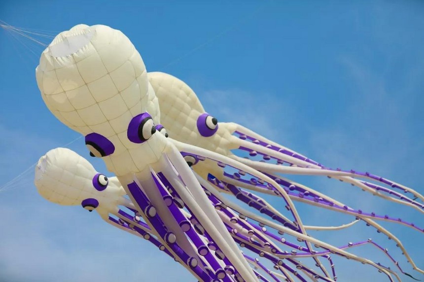 1524468833276333.jpg 10.jpg