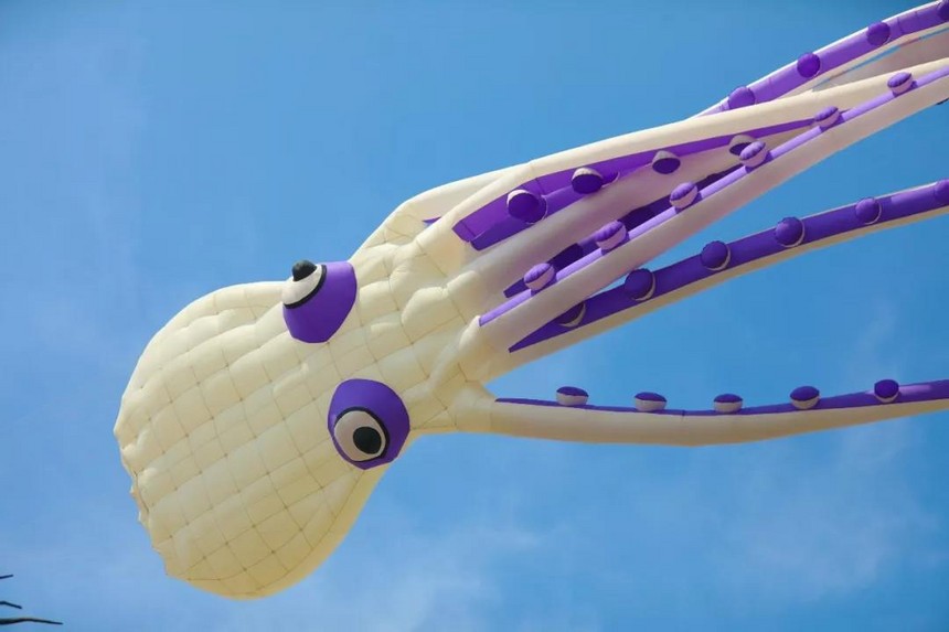 1524468844270974.jpg 11.jpg