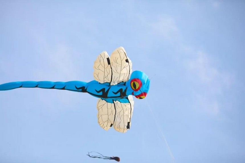 1524468889831018.jpg 15.jpg