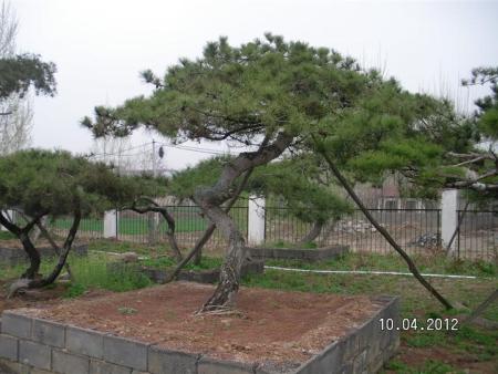 1523876198982537.jpg 元体验体验.jpg