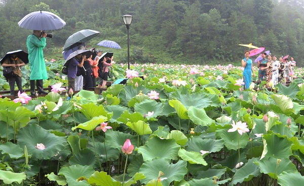 1531133694766799.jpg 图为现场. (1).jpg
