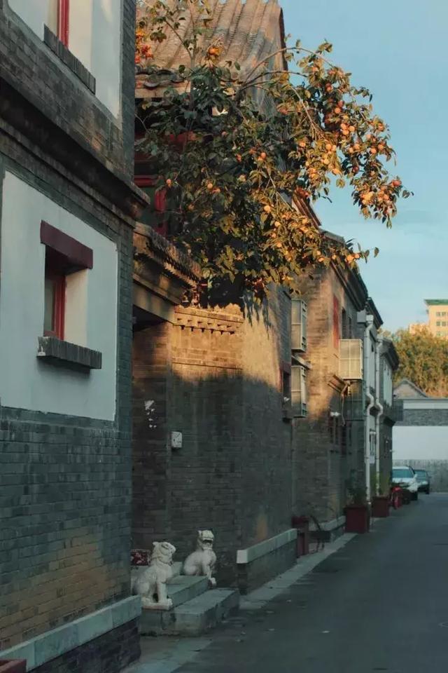 不起眼的小胡同 走进去却别有洞天
