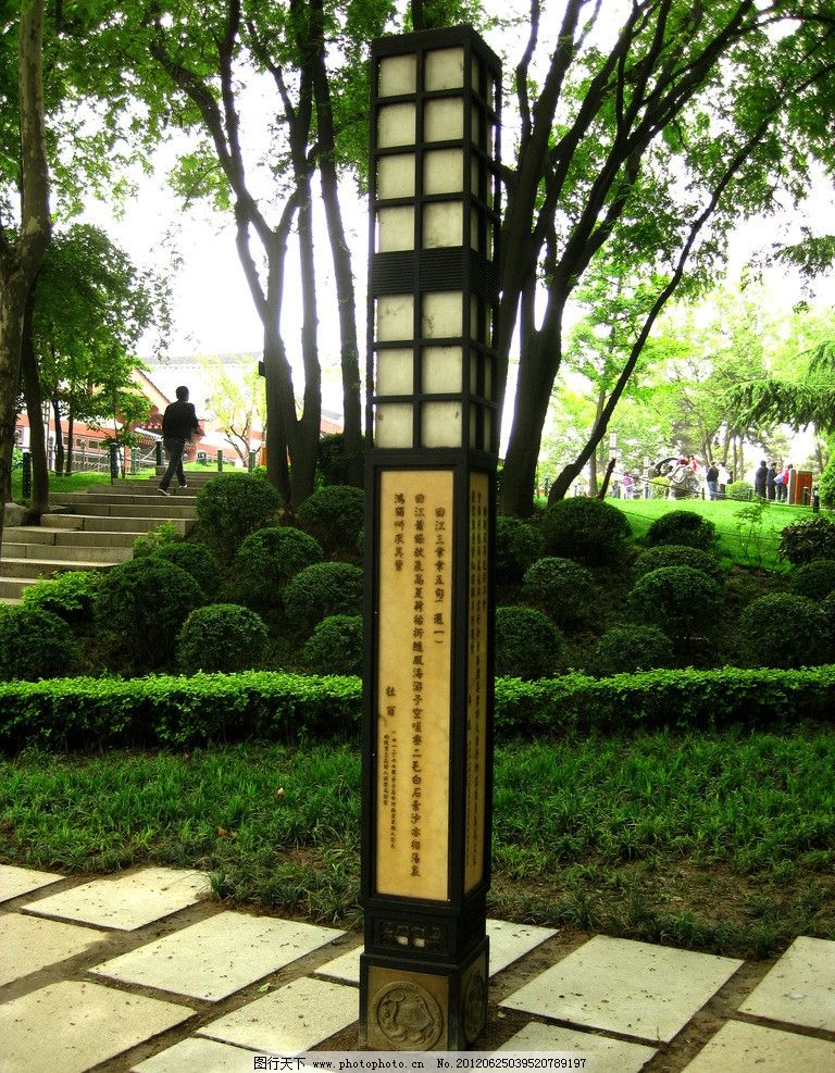4684016.jpg