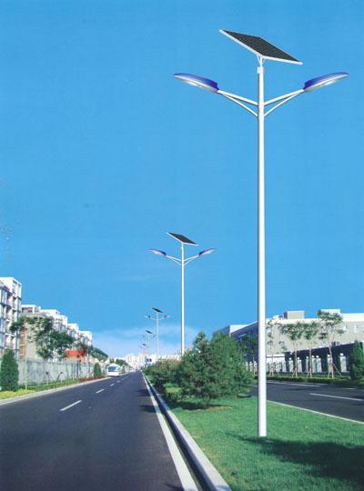 4684016.jpg
