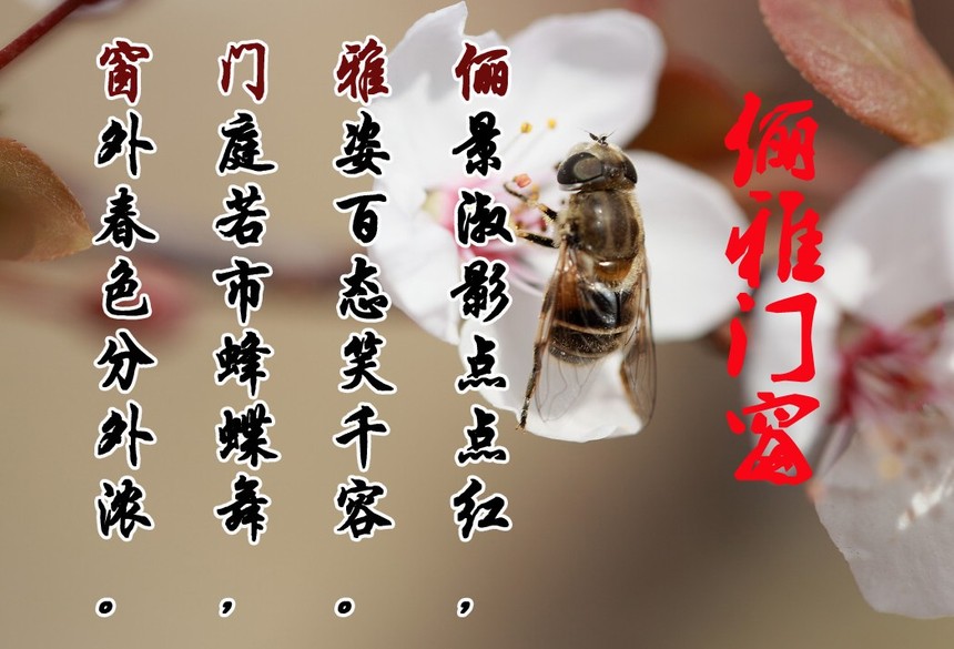 ʫ2.jpg