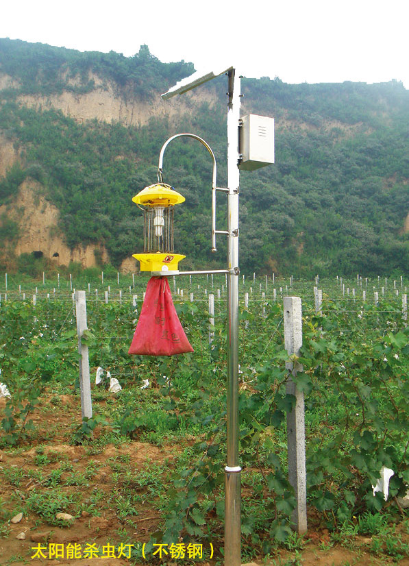 CB-8801.jpg