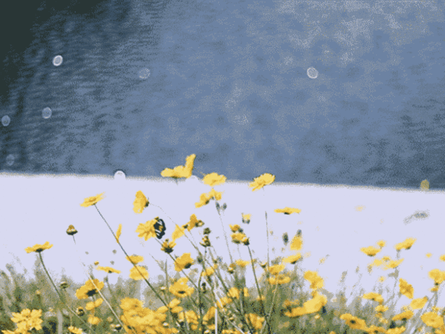 1530689786701642.gif 微信图片_20180704153519.gif