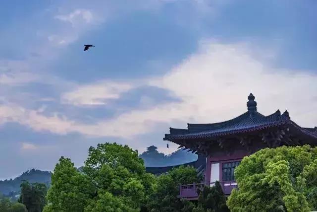 1530690910409199.jpg 微信图片_20180704155401.jpg