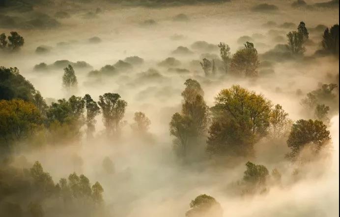 1530866240457235.jpg 微信图片_20180706163606.jpg