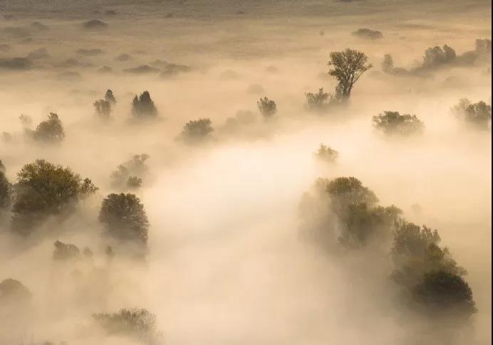 1530866253816160.jpg 微信图片_20180706163611.jpg