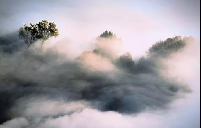 1530866260639666.jpg 微信图片_20180706163613.jpg