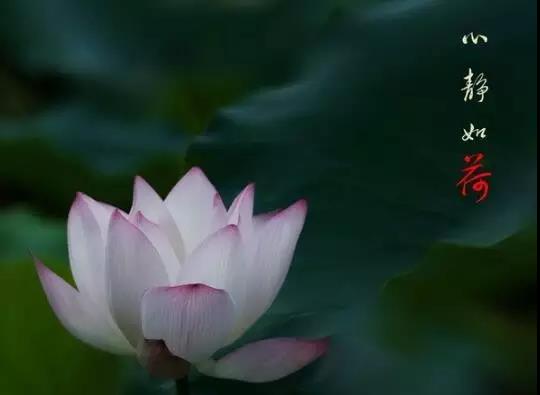 1530866324136508.jpg 1.jpg