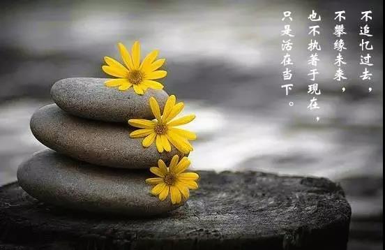 1530866342472205.jpg 2.jpg