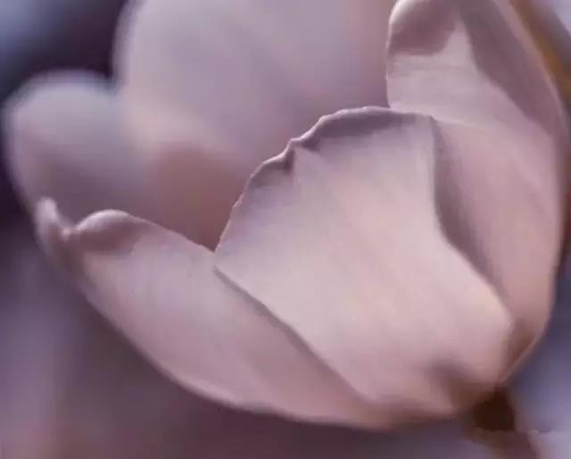 1530866471827661.jpg 微信图片_20180706164011.jpg