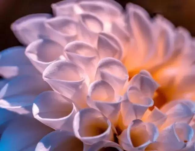 1530866478467008.jpg 微信图片_20180706164008.jpg