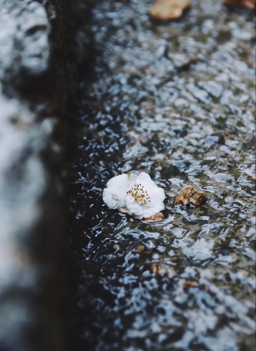 1530866592140620.jpg 微信图片_20180706164209.jpg