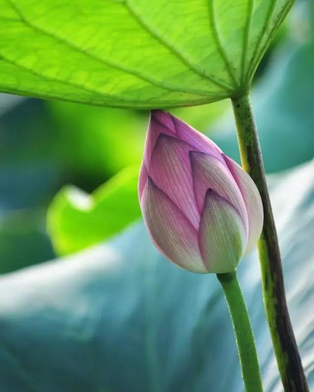 1530866824224603.jpg 微信图片_20180706164556.jpg