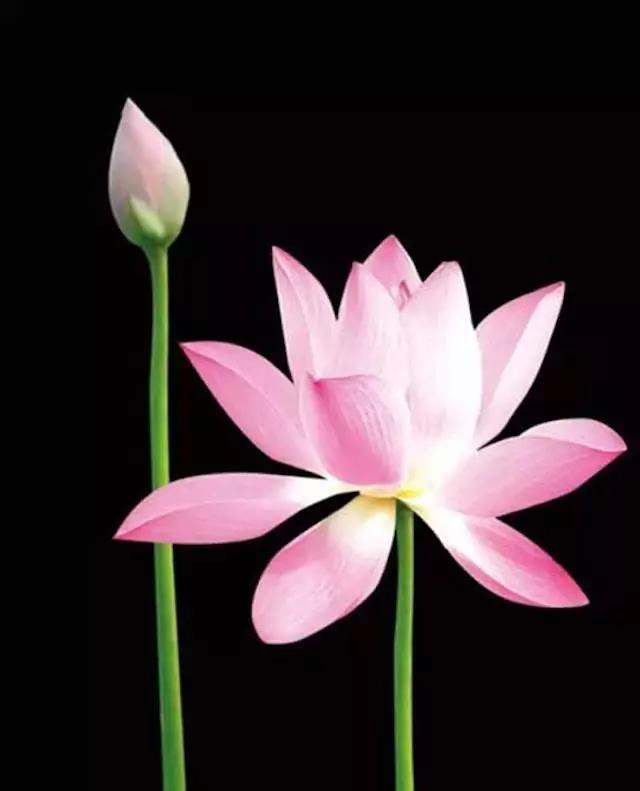 1530866830457299.jpg 微信图片_20180706164559.jpg