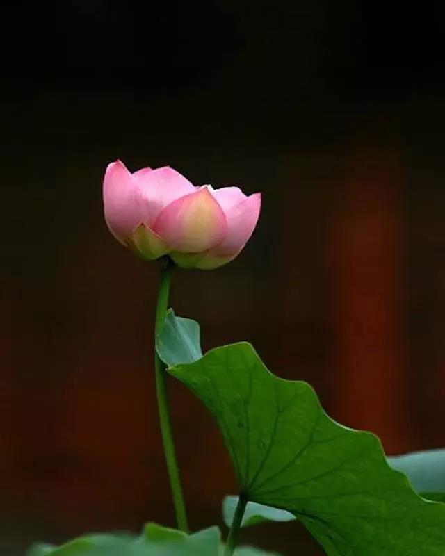 1530866841204190.jpg 微信图片_20180706164605.jpg